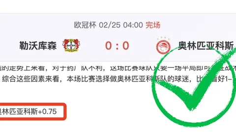 王峥：链球征途，笑容照亮赛场全程
